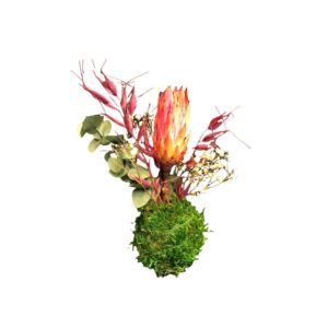 Kokedama - Røde blomster nuancer 18-20 cm