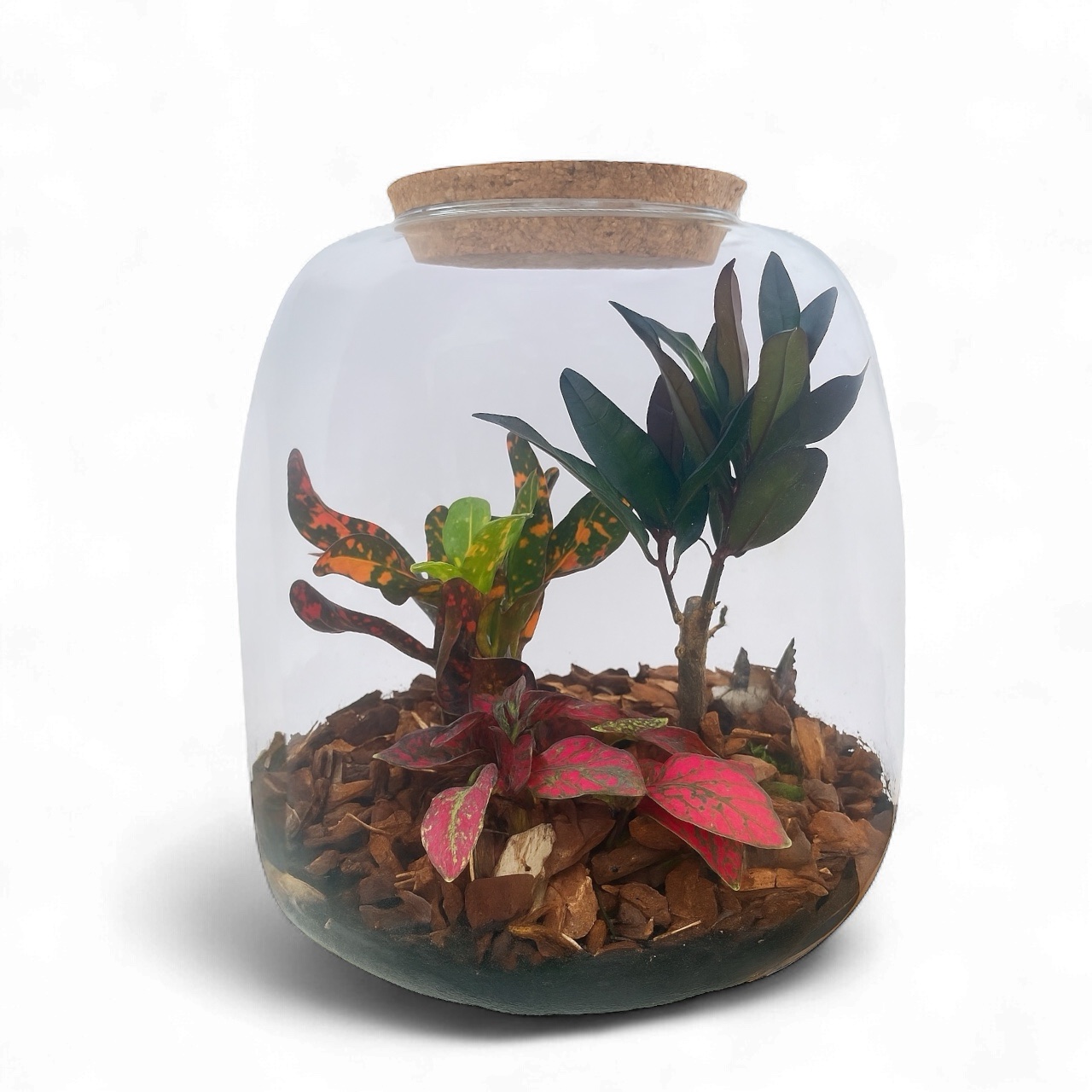 Biosfære med farve- Lukket jordbaseret økosystem