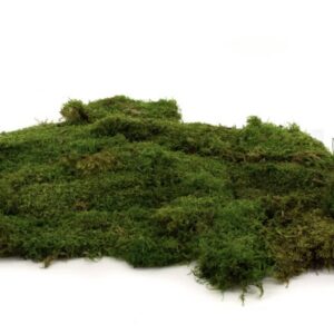 Konserveret fladmos – løsvægt til dekorationer 🌿