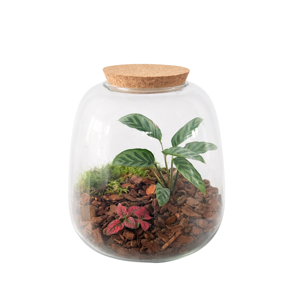 Biosfære “Skovro” – Lukket jordbaseret økosystem